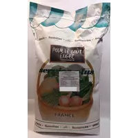 Семена кормовой свеклы Эккендорфская красная GSN Semences Франция 0,1 кг