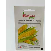 Семена Кукурузы Лендмарк F1. 20 семян "Clause", Франция Садыба центр