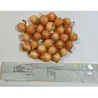 Лук севок Штутгартер Ризен TOP Onions Голландия 0,5 кг